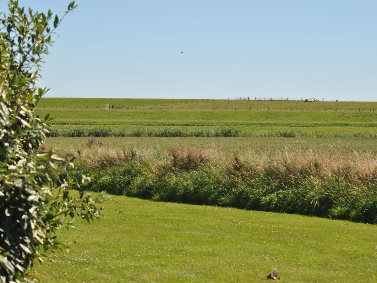 Charming Holiday Home In Texel Near Sea Oost  外观 照片