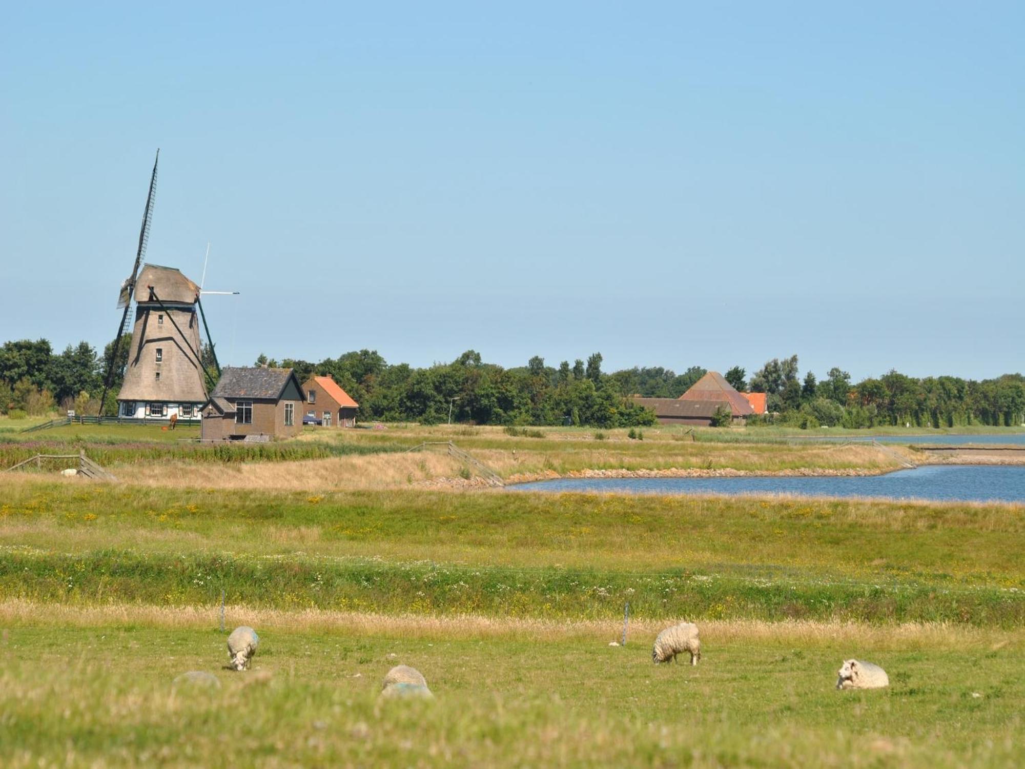 Charming Holiday Home In Texel Near Sea Oost  外观 照片